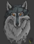  ambiguous_gender canid canine canis eye_scar facial_scar fur grey_background grey_body grey_fur headshot_portrait hi_res looking_at_viewer mammal montana_(wolfdawg) portrait scar simple_background solo tagme white_body white_fur wolf wolfdawg 