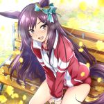  1girl animal_ears aqua_ribbon autumn_leaves bench black_hair buruma commentary_request ear_ribbon horse_ears horse_girl horse_tail jacket long_hair long_sleeves looking_at_viewer mejiro_dober_(umamusume) nakahira_guy on_bench open_mouth purple_eyes red_buruma ribbon sitting smile solo tail thighs track_jacket umamusume zipper 