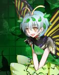  1girl animal antennae aqua_hair brown_eyes butterfly_background butterfly_wings dress eternity_larva eyebrows_visible_through_hair fairy green_dress hair_between_eyes leaf leaf_on_head mirei_(miirei) multicolored_clothes multicolored_dress open_mouth short_hair short_sleeves single_strap smile solo touhou wings 