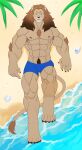  beach bottomwear clothing felid feline hi_res leolex lion male mammal mane muscular pantherine seaside shorts solo 