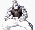  1boy animal_ears arknights bara chain_necklace furry furry_male highres large_pectorals maiyabuhantang male_focus mountain_(arknights) muscular muscular_male pectorals scar scar_across_eye spread_legs tiger_boy tiger_ears white_fur 