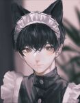  1boy animal_ears apron black_dress black_hair blurry blurry_background brown_eyes cat_ears closed_mouth commentary crossdressing dress frilled_apron frills highres ishida_(segu_ishida) looking_at_viewer maid_apron maid_headdress male_focus original short_hair solo upper_body white_apron 