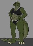  anthro breasts clothed clothing dragon female green_hair hair hi_res hornless mature_female multicolored_body muscular muscular_female simple_background solo tolerain_(artist) two_tone_body valyrie_(tolerain) yellow_eyes 