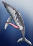  2021 animal_genitalia animal_penis anus baleen_whale big_penis blue_background blue_eyes bubble cetacean cetacean_penis countershading dolorcin erection feral fin genitals gradient_background grey_body huge_penis humpback_whale long_penis male mammal marine penis pink_penis presenting presenting_penis signature simple_background solo tapering_penis underwater water white_body white_countershading 