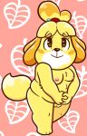  accessory animal_crossing anthro areola breasts canid canine canis chubby_female domestic_dog female genitals hair_accessory hair_tie hair_tied hi_res isabelle_(animal_crossing) mammal nintendo nipples nude pussy shih_tzu sinribbons slightly_chubby solo toy_dog video_games 