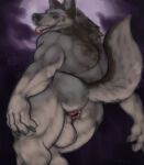  anus balls butt canid canine canis genitals hi_res male mammal moon sketch were werecanid werecanine werewolf wolf 