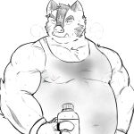  2021 absurd_res anthro belly bodily_fluids clothing hermann_(knights_college) hi_res humanoid_hands kemono knights_college male mammal musclegut overweight overweight_male shirt simple_background solo suid suina sus_(pig) sweat topwear white_background whitebeast20 wild_boar 