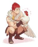  1boy :/ animal bara bird blush boots bulge chicken cross-laced_footwear feather_hair_ornament feathers full_body greek_clothes hair_ornament heterochromia holding holding_animal knee_boots male_focus muscular muscular_male pollux_(housamo) red_hair rooster short_hair sideburns solo squatting thighs tokyo_afterschool_summoners topless_male tsuna_(so_da77) yellow_eyes 