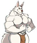  2021 anthro anubian_jackal big_muscles bottomwear brown_nose canid canine canis clothing darknaigart eyebrows fur hi_res jackal loincloth male mammal muscular nipples pink_nipples pose simple_background solo tattoo wawik white_body white_fur womb_tattoo yellow_eyes 