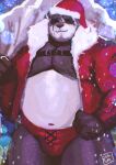  2021 anthro belly black_body bulge christmas christmas_clothing christmas_headwear clothing giant_panda hat headgear headwear hi_res holidays humanoid_hands male mammal moobs navel overweight overweight_male ruslorc santa_claus santa_hat snow snowing solo underwear ursid white_body 