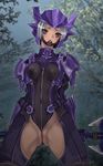  1girl armor blue_armor blush brown_eyes dragoon dragoon_(final_fantasy) elf elvaan erect_nipples fe female final_fantasy final_fantasy_xi frontal_wedgie grey_hair highres nature nipples open_mouth outdoors pointy_ears pubic_hair solo spandex 