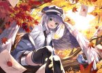  1girl autumn_leaves bangs bird bird_wings black_legwear blue_headwear blush branch breasts buckle cabbie_hat coat_of_arms collared_shirt commentary_request day eyebrows_visible_through_hair eyelashes feather_hat_ornament feathered_wings feet_out_of_frame grey_eyes hanging_legs hat in_tree kure~pu leaf letter long_sleeves looking_at_viewer mail open_mouth original shirt short_hair short_shorts shorts sidelocks silver_hair sitting sitting_in_tree small_breasts solo sunlight thighhighs tree white_shirt white_wings wing_collar wings 