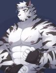  1boy abs animal_ears arknights bandaged_hand bandages bara furry furry_male highres large_pectorals looking_at_viewer male_focus mountain_(arknights) muscular muscular_male nipples nude pectorals scar scar_across_eye scar_on_arm scar_on_chest scar_on_face short_hair solo tiger_boy tiger_ears upper_body watanukitail white_fur white_hair 