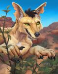  anthro canid canine canis claws desert gloveboxofdoom hi_res inner_ear_fluff jackal male mammal solo tabernak tuft 