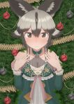  1girl african_wild_dog_(kemono_friends) animal_ear_fluff animal_ears arfox10 bangs bare_shoulders black_hair blush brown_eyes christmas_tree closed_mouth collarbone detached_sleeves dog_ears dress eyebrows_visible_through_hair frilled_sleeves frills furrowed_brow grey_hair hair_between_eyes halter_dress halterneck hands_up highres kemono_friends kemono_friends_3 long_sleeves looking_at_viewer medium_hair multicolored_hair nervous nose_blush official_alternate_costume parted_bangs shiny shiny_hair solo two-tone_hair upper_body wavy_mouth 