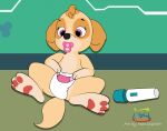  2021 absurd_res bird_dog canid canine canis cockapoo cocker_spaniel cub_young diaper diaper_fetish digital_media_(artwork) domestic_dog female hi_res hunting_dog infantilism mammal marvispot84 mixed_breed nickelodeon pacifier paw_patrol sex_toy skye_(paw_patrol) solo spaniel vibrator 