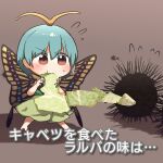  1girl animal antennae aqua_hair barefoot blush brown_background brown_eyes butterfly_wings cabbage dress eating eternity_larva eyebrows_visible_through_hair fairy flying_sweatdrops food green_dress hair_between_eyes highres holding holding_food holding_vegetable kyoukei_usagi multicolored_clothes multicolored_dress shadow short_hair short_sleeves simple_background single_strap solo touhou translation_request urchin vegetable wings 