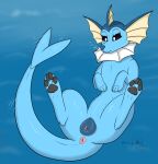  animal_genitalia animal_pussy anus black_pussy bubble canid canine canine_pussy eeveelution female feral genitals hi_res mammal nintendo pawpads paws pok&eacute;mon pok&eacute;mon_(species) powerinfinity presenting presenting_anus presenting_pussy pussy solo underwater vaporeon video_games water 