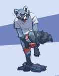  2021 anthro blush clothed clothing digital_media_(artwork) drunk fur furvidd genitals hi_res looking_at_viewer male mammal pants_around_ankles partially_clothed penis procyonid raccoon shirt simple_background smile solo substance_intoxication tongue tongue_out topwear underwear underwear_down undressing 