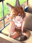  1girl :d animal_ear_fluff animal_ears arm_support armpit_crease backlighting bangs bare_arms bare_shoulders blurry blurry_background blush breast_pocket breasts brown_eyes brown_skirt bus_interior dhole_(kemono_friends) dog_ears dog_girl dog_tail extra_ears eyebrows_visible_through_hair folded_leg foot_out_of_frame from_above fur-trimmed_collar glove_bow gloves grass hair_flaps hand_up highres kemono_friends kemono_friends_3 knee_up light_brown_hair looking_at_viewer looking_to_the_side looking_up medium_breasts miniskirt multicolored_hair no_shoes open_mouth orange_legwear outdoors pleated_skirt pocket shiny shiny_hair shiny_skin shirt short_hair signature sitting skirt sleeveless sleeveless_shirt smile solo tail takebi thighhighs two-tone_hair vehicle_interior white_gloves white_shirt zettai_ryouiki 