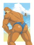  absurd_res anonymous_artist anthro ass_up beach big_butt brown_body butt clothed clothing fur hair hi_res linorange0212 looking_at_viewer male mammal sea seaside smile solo ursid water 