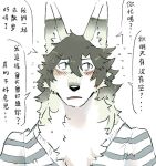  2018 anthro blue_eyes blush blush_lines canid canine canis cheek_tuft chinese_text clothing countershading dipstick_ears facial_tuft fur hair inner_ear_fluff luxury_gin male mammal multicolored_ears pattern_clothing pattern_shirt pattern_topwear shirt simple_background solo speech_bubble striped_clothing striped_shirt striped_topwear stripes text topwear translation_request tuft white_background wolf 