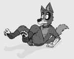  anthro armpit_hair balls body_hair canid canine canis clothing collar domestic_dog fluffy_ass footwear genitals male mammal pawpads paws ricthecusco sitting skinny socks solo 