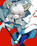  1girl animal_ears arknights bangs blue_legwear blue_shirt blue_shorts closed_mouth commentary_request gloves grey_hair hair_between_eyes holding hood hood_down hooded_jacket jacket jacket_on_shoulders legwear_under_shorts pantyhose purple_eyes red_background shiromiso shirt short_shorts shorts simple_background solo sussurro_(arknights) tail wavy_mouth white_gloves white_jacket 