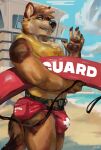  2021 5_fingers anthro beach black_nose black_pawpads brown_body brown_fur bulge canid canine canis chest_tuft claws clothed clothing domestic_dog fangs finger_claws fingers fur german_shepherd herding_dog hi_res humanoid_hands juiceps life_jacket life_preserver lifeguard lifeguard_tower male mammal pastoral_dog pawpads pouch_(disambiguation) sand seaside signature smile solo speedo standing swimwear teeth tuft 