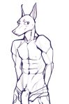  absurd_res andromorph andromorph/male blush canid canine canis clothed clothing dobermann domestic_dog fur genitals hi_res intersex intersex/male looking_at_viewer male mammal mozeeeeeeeee pinscher sketch solo 