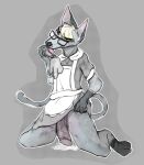  animal_crossing anthro clothing domestic_cat felid feline felis genitals hi_res humanoid_genitalia humanoid_penis maid_uniform male mammal nintendo penis raymond_(animal_crossing) skushi solo uniform video_games 