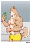  absurd_res anthro bulge canid canine canis clothing domestic_dog flexing fur gaouu hi_res male mammal muscular pongotora selfie shiba_inu solo spitz underwear 