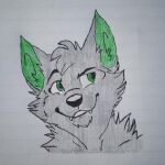  ambiguous_gender anthro canid canine canis colored colored_pencil_(artwork) colored_sketch fur green_ears green_eyes looking_away low_res male mammal sketch smile solo spirit_shadow_(character) teeth traditional_media_(artwork) unknown_artist wolf 