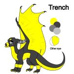  ambiguous_gender color_swatch dragon feral horn model_sheet reference_image solo unknown_artist wings 