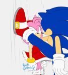  against_surface against_wall amy_rose blue_body blue_fur bluecloud bodily_fluids clothing cornered dress duo eulipotyphlan female fist fur hedgehog hi_res male male/female mammal nervous pink_body pink_fur questionable_consent raised_leg red_clothing red_dress scared sega shaking size_difference sonic_the_hedgehog sonic_the_hedgehog_(series) sweat thick_thighs trembling wall_(structure) 