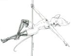  anthro baron_engel big_breasts breasts clothing dancing female genitals graphite_(artwork) legwear mammal mostly_nude mouse murid murine pencil_(artwork) petina_demouse pole pole_dancing pussy rodent simple_background singing solo thigh_highs traditional_media_(artwork) white_background 