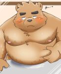  2021 anthro belly black_nose blush bodily_fluids brown_body cute_fangs hi_res japanese_text kemono male mammal moobs nipples overweight overweight_male puss3250 solo sweat text ursid 