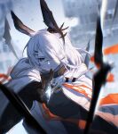  1girl animal_ears arknights blurry blurry_background brown_gloves coat cold frostnova_(arknights) gloves grey_eyes hair_ornament hairclip highres mayf42 originium_arts_(arknights) rabbit_ears scar scar_on_face scar_on_nose silver_hair twitter_username winter_clothes winter_coat 
