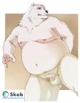  2021 anthro balls belly blush bodily_fluids censored donabe fur genital_fluids genitals hi_res humanoid_genitalia humanoid_hands humanoid_penis kemono male mammal moobs navel nipples overweight overweight_male penis precum solo ursid white_body white_fur 