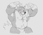  0rang3 angry anthro armpit_hair belly blush body_hair bulge canid canine canis clothing digital_media_(artwork) fur happy_trail hi_res male mammal musclegut muscular muscular_anthro muscular_male nipples pecs simple_background solo solo_focus underwear were werecanid werecanine werewolf wolf 