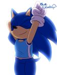  blue_body blue_clothing blue_fur blue_shirt blue_topwear bluecloud clothing eulipotyphlan eyes_closed fur gloves handwear hedgehog hi_res male mammal mario_and_sonic_at_the_olympic_games raised_hand sega shirt simple_background slightly_chubby smile solo sonic_the_hedgehog sonic_the_hedgehog_(series) sportswear stretching thick_thighs topwear white_background 