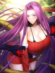  1girl absurdly_long_hair angry breasts christmas curvy fate/grand_order fate_(series) gorgon_(fate) highres huge_breasts large_breasts long_hair medusa_(fate) minami_koyogi purple_hair red_sweater snake sweater thighs very_long_hair 