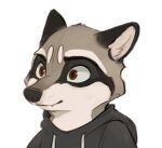  anthro brown_eyes clothed clothing jacket kyukes low_res male mammal multicolored_body procyonid raccoon short simple_background simple_eyes smile solo solo_focus topwear 