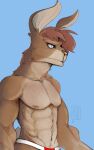  anthro blue_eyes brown_body brown_fur clothing deuzion endertwinks fur hi_res jockstrap jockstrap_only lagomorph leporid male mammal muscular muscular_male nipples rabbit solo underwear 