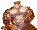 abs absurd_res anthro balls biceps big_muscles episode0006 felid fur genitals hi_res humanoid_genitalia humanoid_penis male mammal muscular muscular_anthro muscular_male nipples nude pantherine pecs penis simple_background solo solo_focus tiger