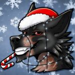 1:1 animated canid canine canis christmas domestic_dog feral fox holidays icon male mammal newyear portrait short_playtime solo wolf zhekathewolf ztw2023 ztw2024