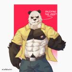  abs anthro belt bottomwear clothed clothing coffeline giant_panda gouhin hi_res male mammal muscular nipples open_clothing open_shirt open_topwear pants pecs pubes scar shirt simple_background smile solo topwear ursid 