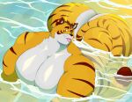  anthro big_butt big_moobs butt felid fur hi_res huge_butt male mammal moobs nude overweight overweight_anthro overweight_male pantherine partially_submerged solo striped_body striped_fur stripes swirlzeez tiger tongue tongue_out water 