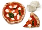  basil_leaf cheese food food_focus highres kaneko_ryou margherita_pizza no_humans original pizza simple_background still_life tomato_sauce white_background 