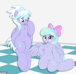 absurd_res accessory anthro bow_ribbon cloud_chaser_(mlp) cutie_mark digiqrow duo equid equine female flitter_(mlp) friendship_is_magic genitals hair_accessory hair_bow hair_ribbon hasbro hi_res kneeling looking_at_viewer mammal my_little_pony pegasus pussy ribbons sibling_(lore) sister_(lore) sisters_(lore) standing tongue tongue_out wings